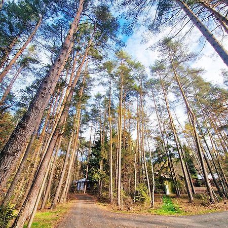 Bungalow Direkt Am See, Mit Eigenem Boot Roding Exterior foto